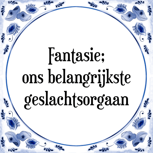 Fantasie; ons belangrijkste geslachtsorgaan - Tegeltje met Spreuk