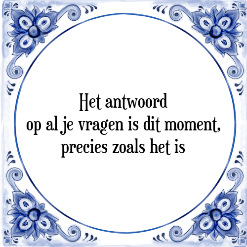 Het antwoord op al je vragen is dit moment, precies zoals het is - Tegeltje met Spreuk