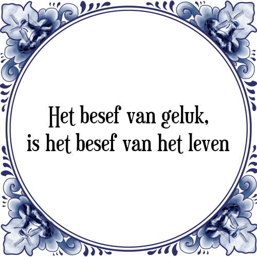 Het besef van geluk, is het besef van het leven - Tegeltje met Spreuk