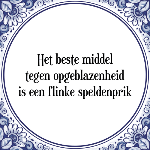 Het beste middel tegen opgeblazenheid is een flinke speldenprik - Tegeltje met Spreuk