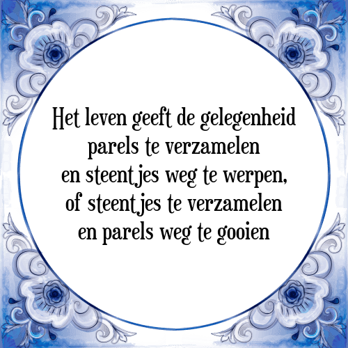 Het leven geeft de gelegenheid parels te verzamelen en steentjes weg te werpen, of steentjes te verzamelen en parels weg te gooien - Tegeltje met Spreuk