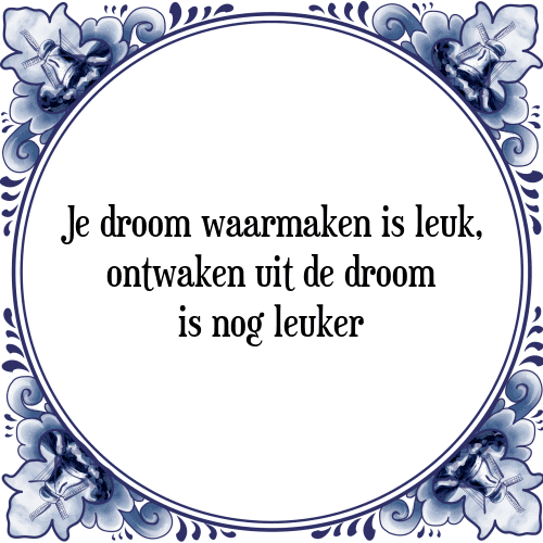 Je droom waarmaken is leuk, ontwaken uit de droom is nog leuker - Tegeltje met Spreuk